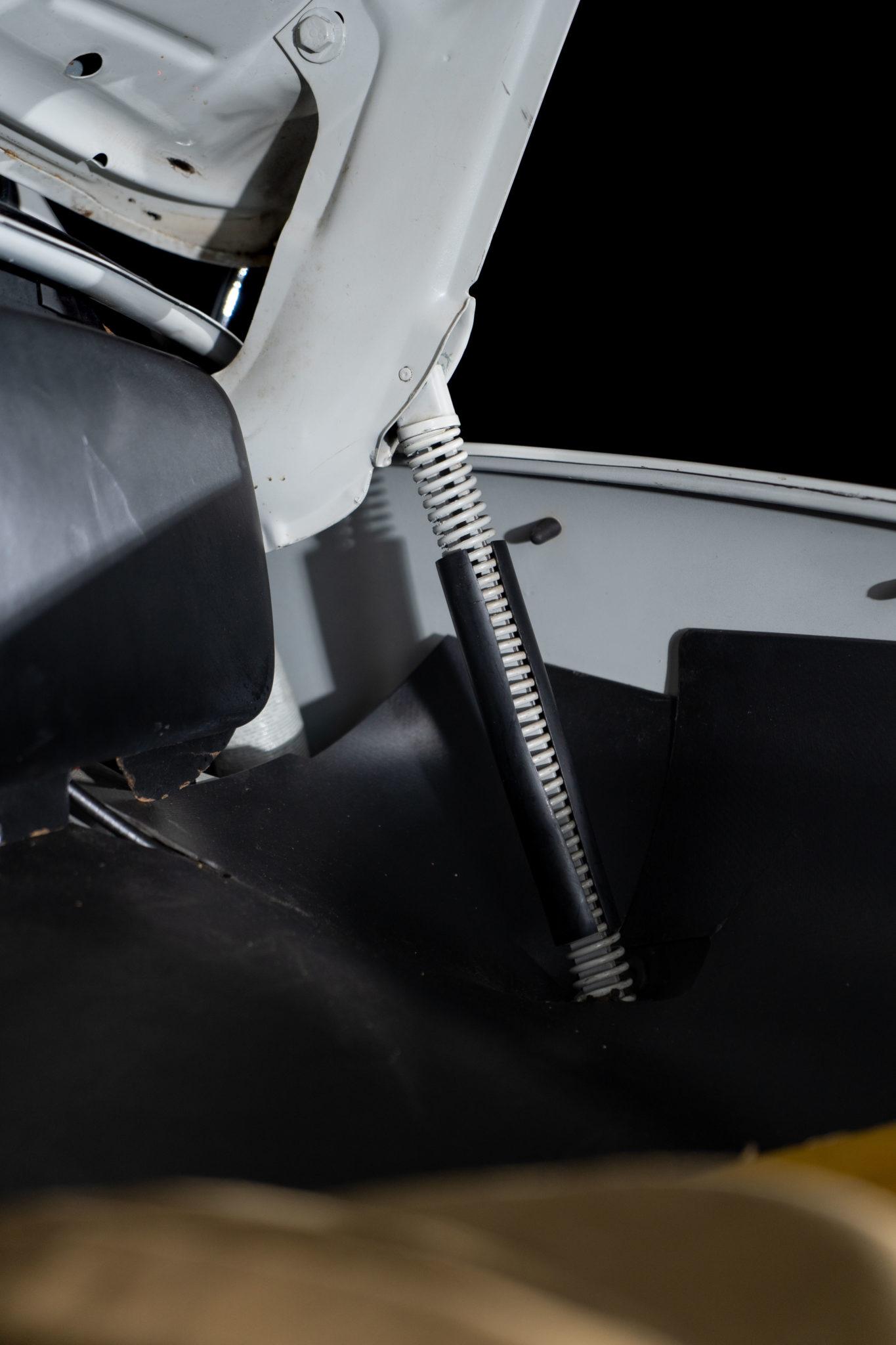 coccinelle blanche-14