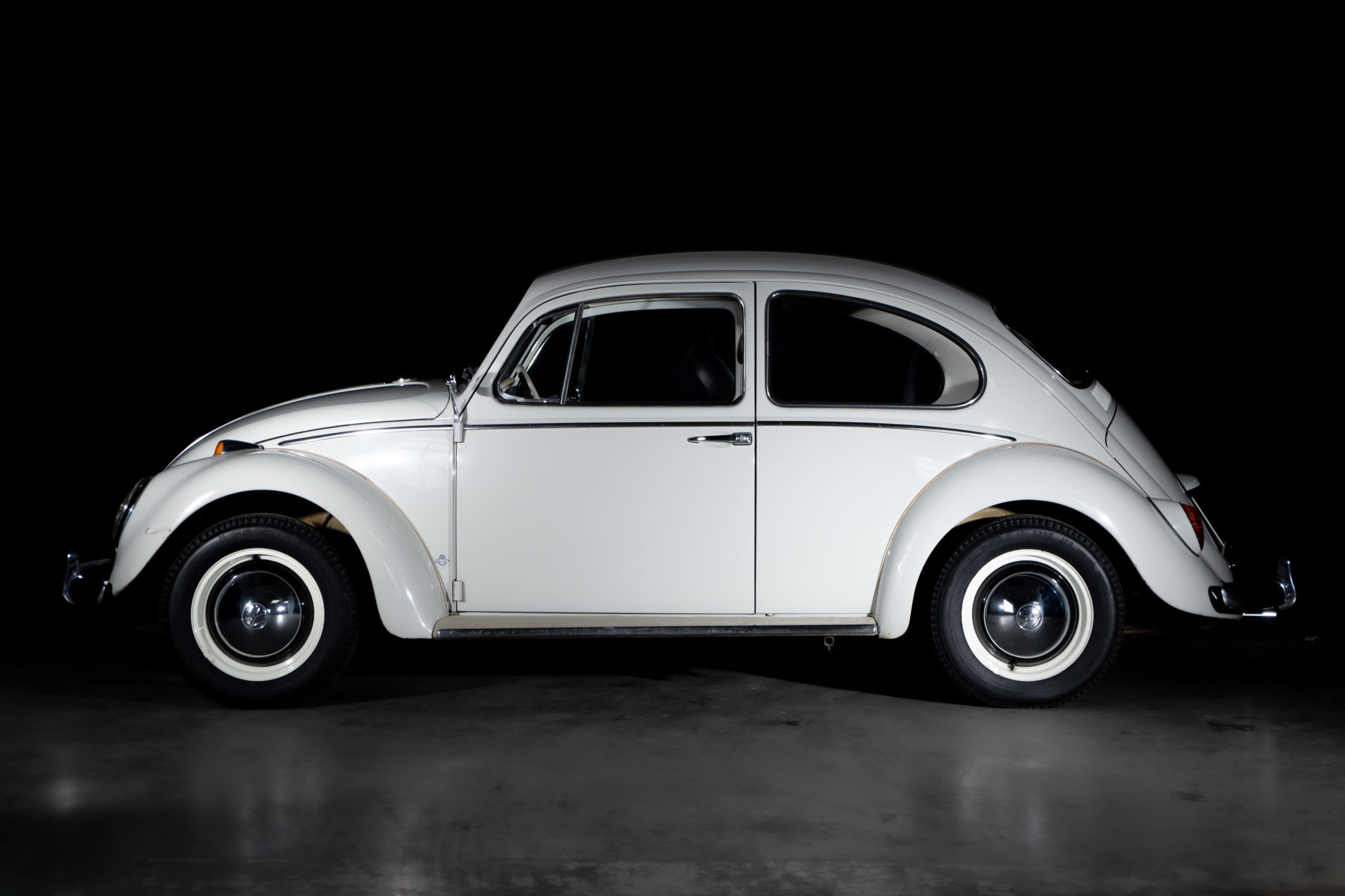 coccinelle blanche-72