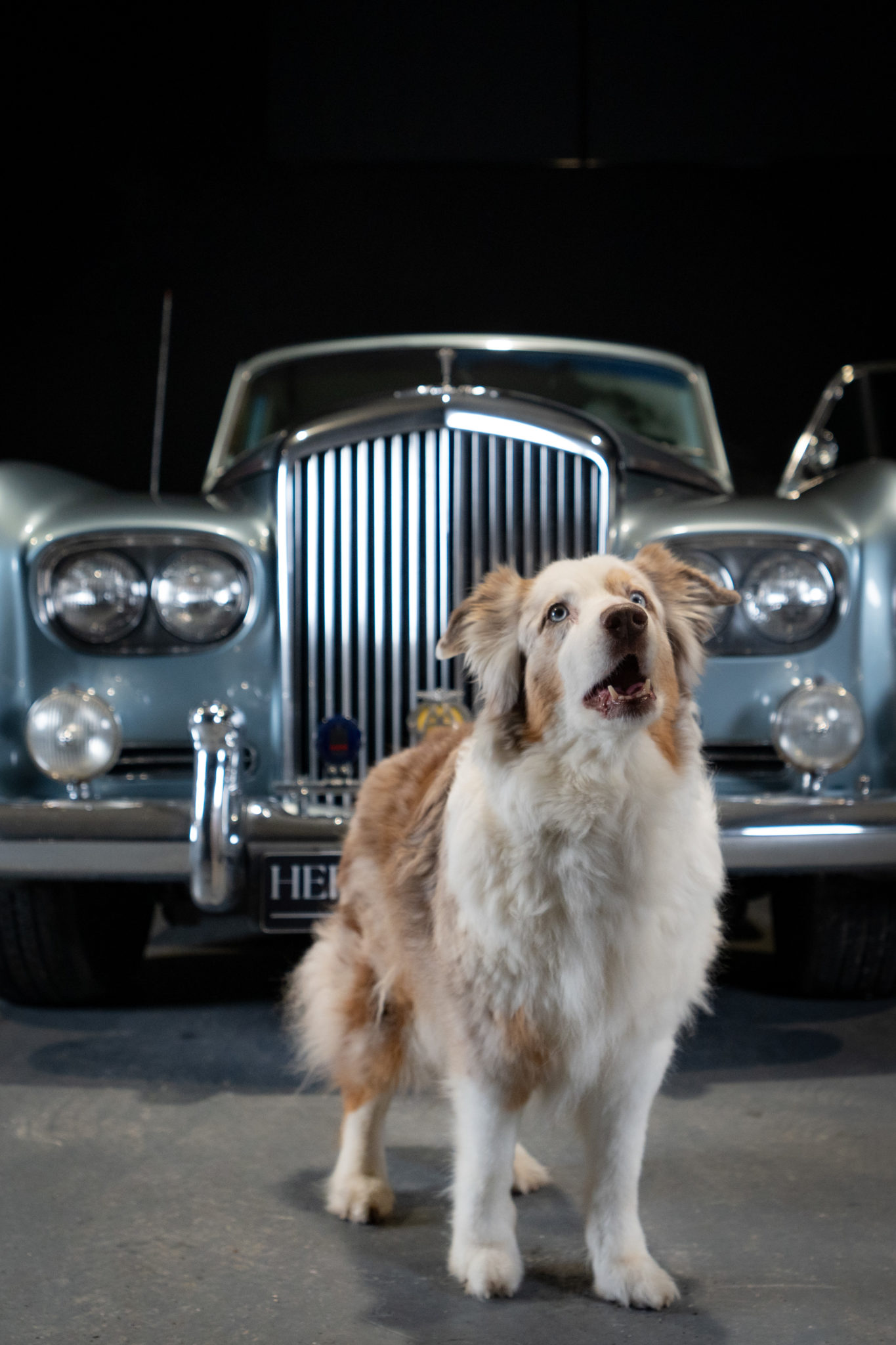 hervechauvincollection-102