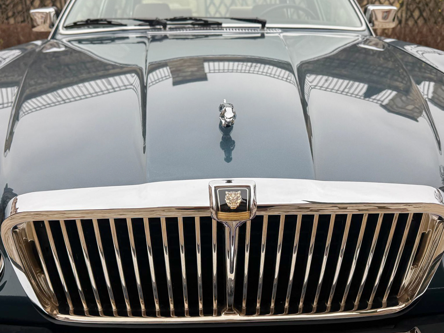 jaguar herve chauvin collection-16