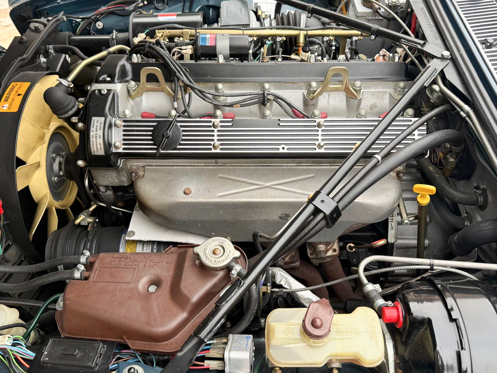 jaguar herve chauvin collection-17