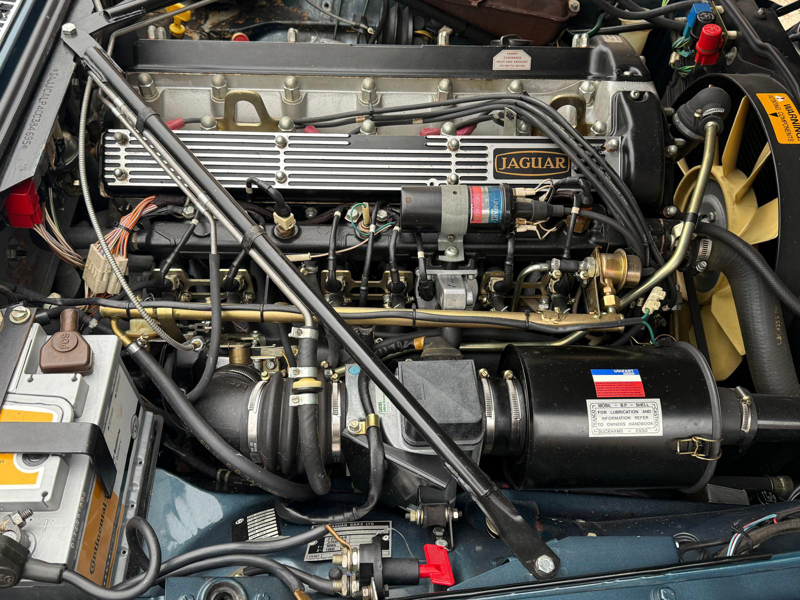 jaguar herve chauvin collection-19