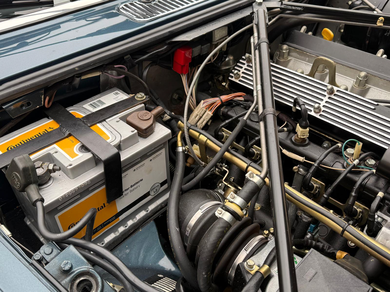 jaguar herve chauvin collection-20