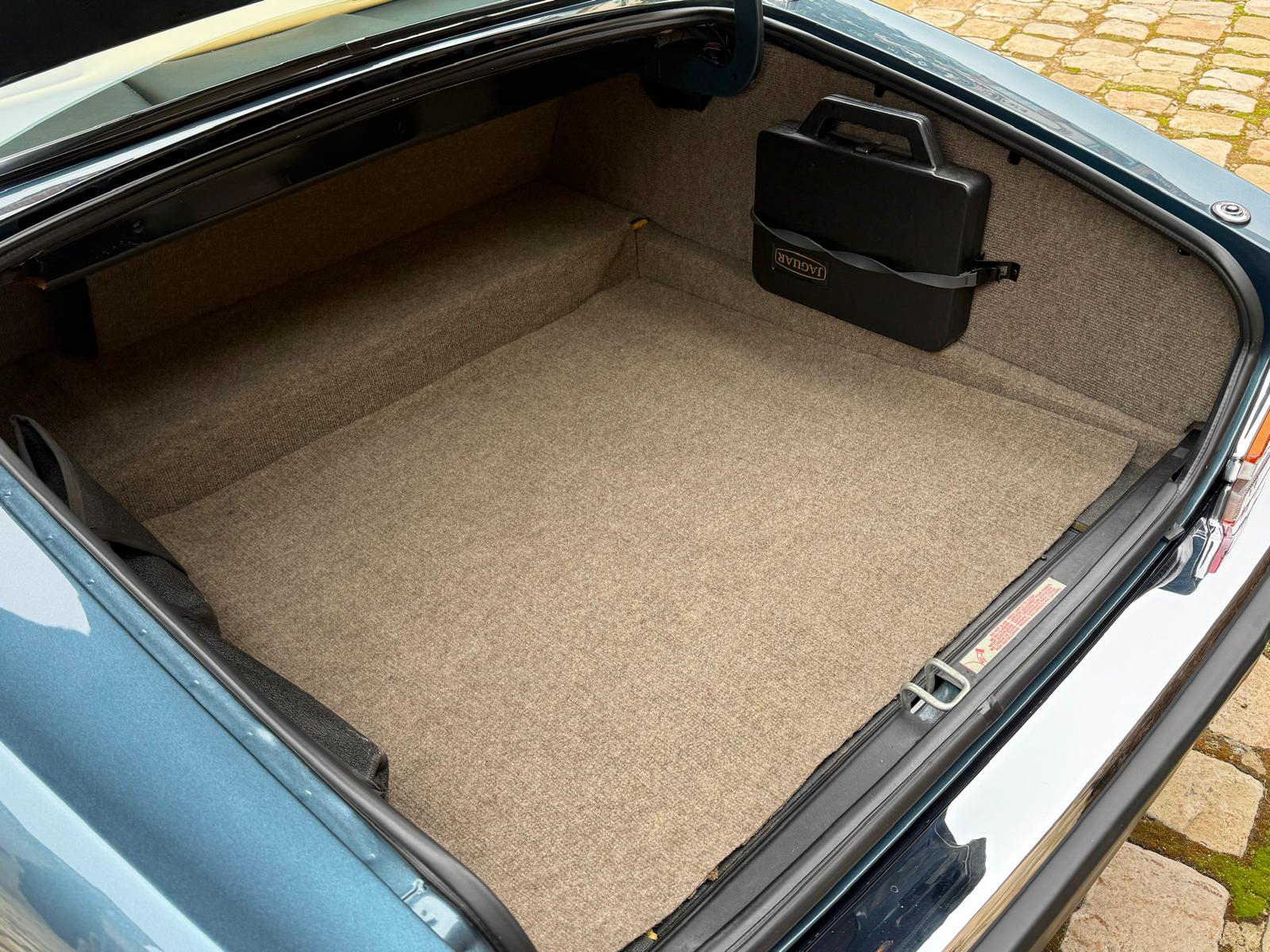 jaguar herve chauvin collection-21