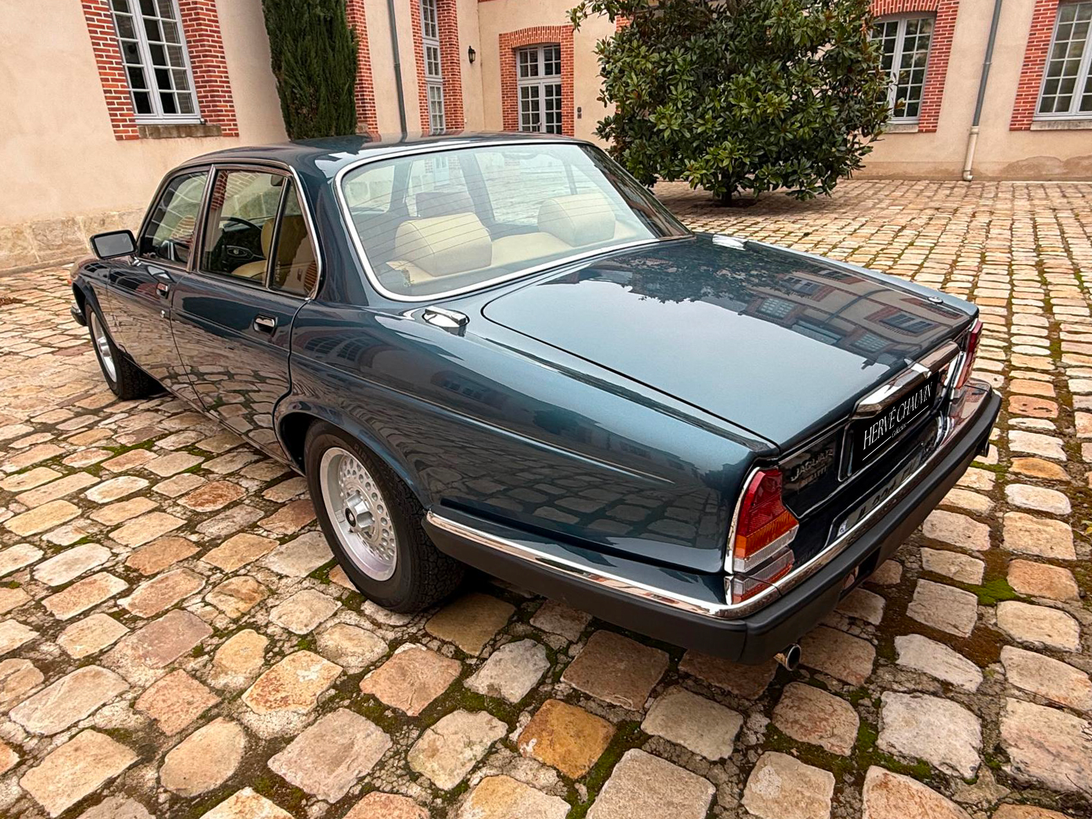 jaguar herve chauvin collection-29