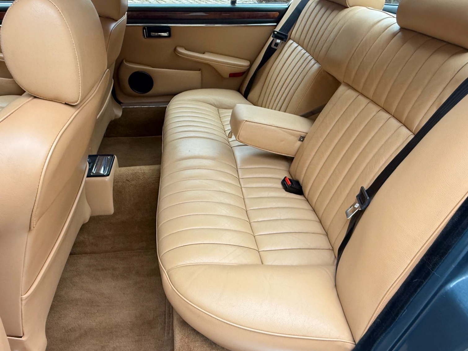 jaguar herve chauvin collection-3