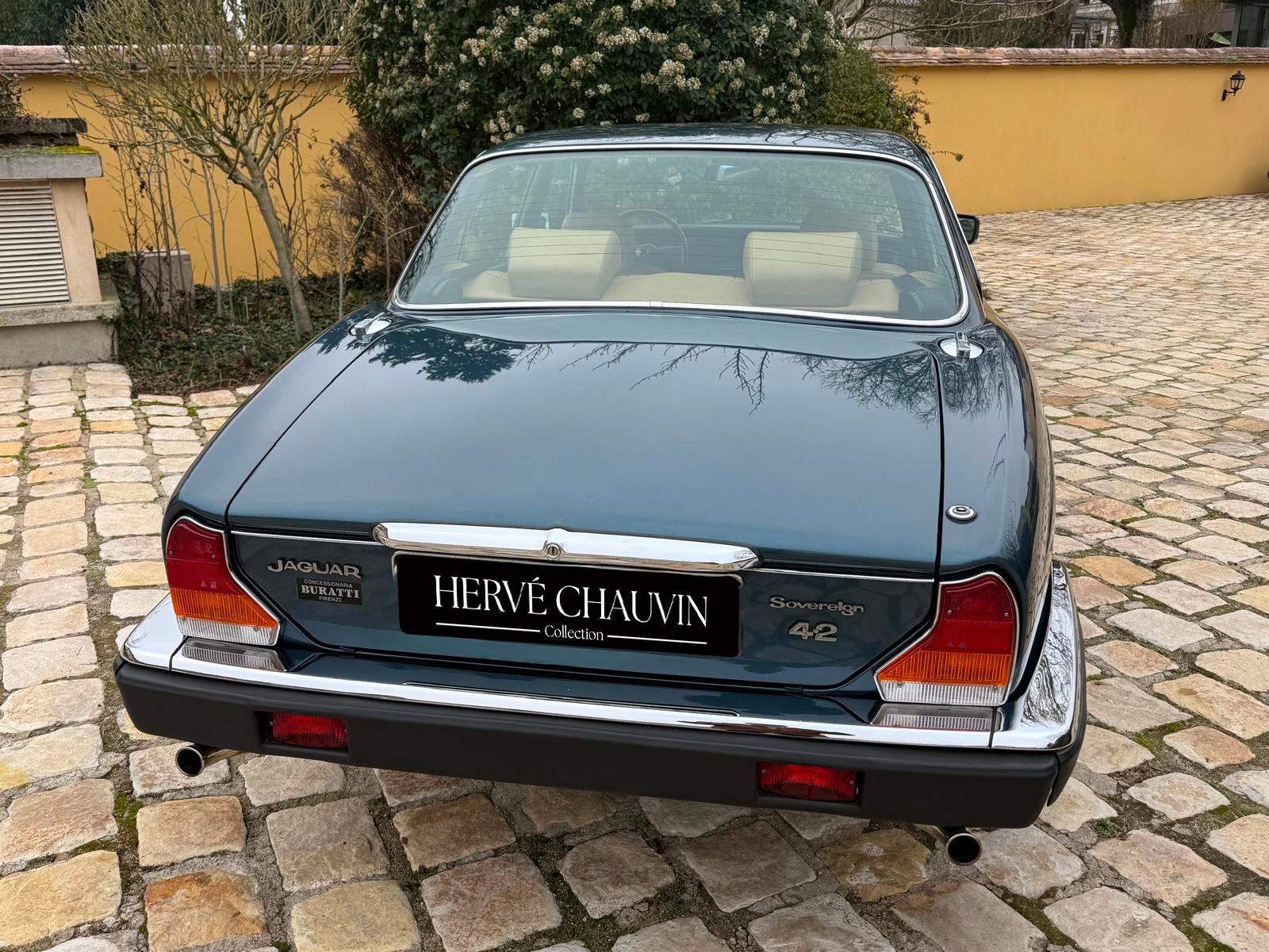 jaguar herve chauvin collection-31