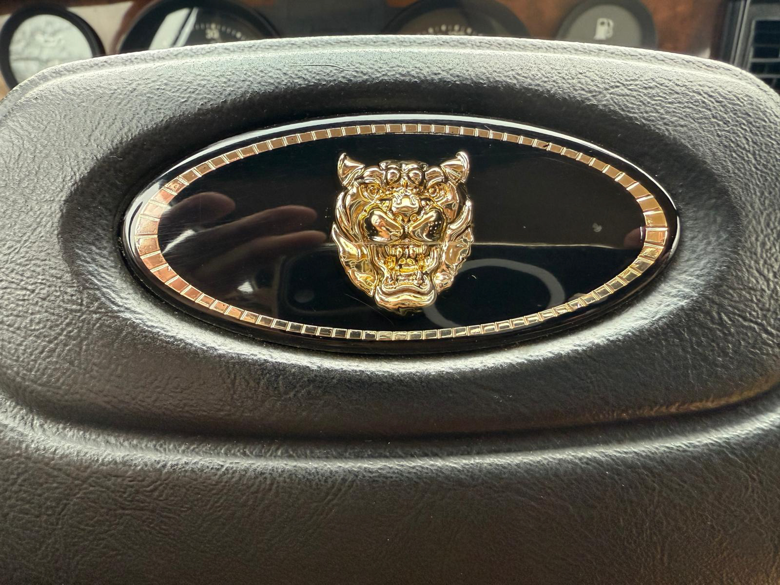 jaguar herve chauvin collection-36