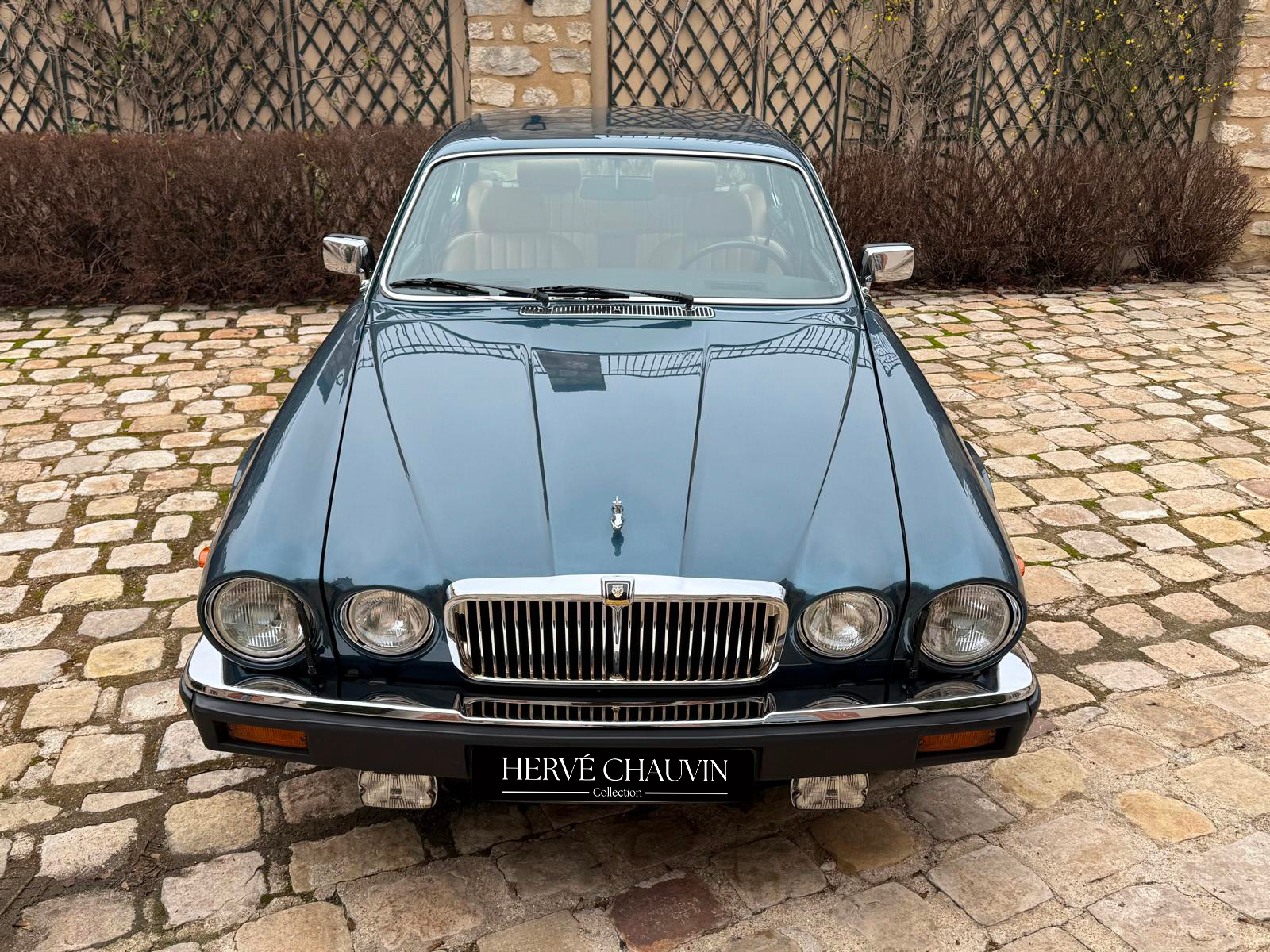jaguar herve chauvin collection-39