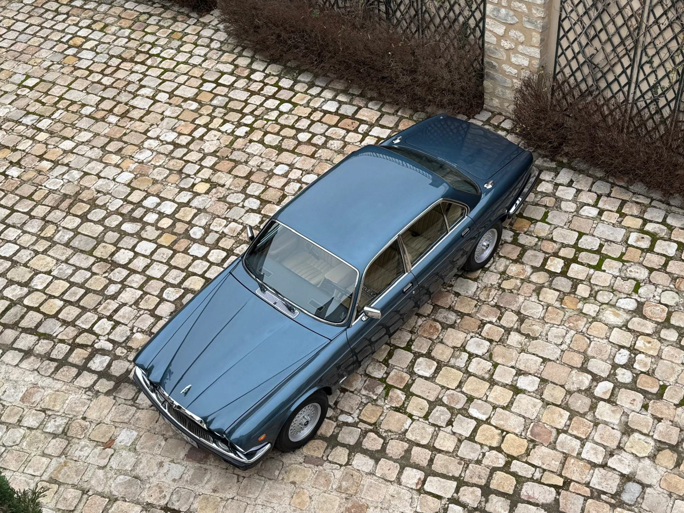 jaguar herve chauvin collection-8