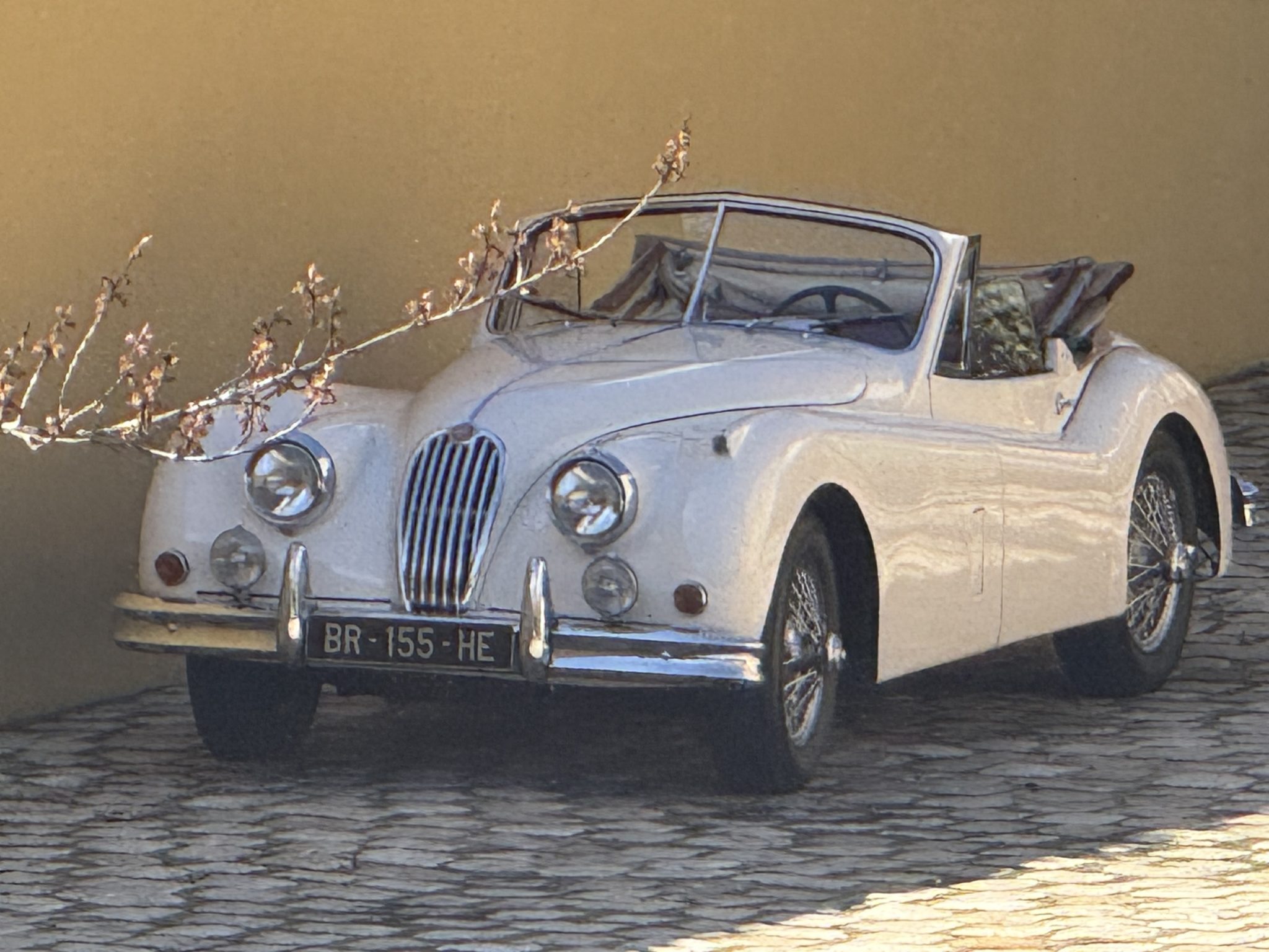 XK140 19